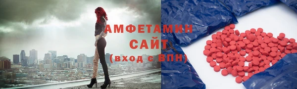 стаф Пересвет