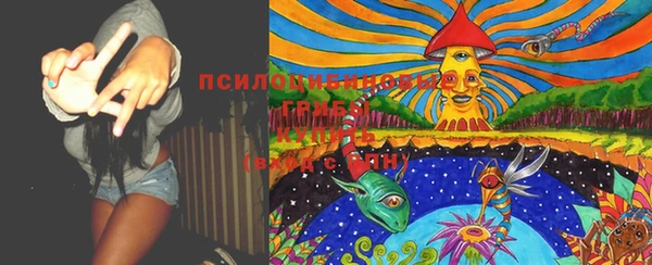 стаф Пересвет