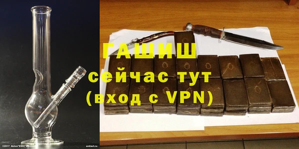 стаф Пересвет