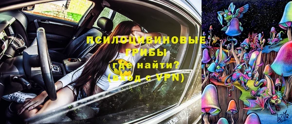 стаф Пересвет