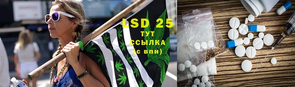 стаф Пересвет