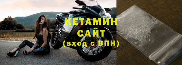 стаф Пересвет