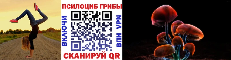 Галлюциногенные грибы прущие грибы Купить закладки Старица